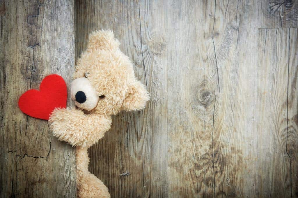 bear holding a heart