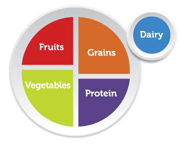 food diagram