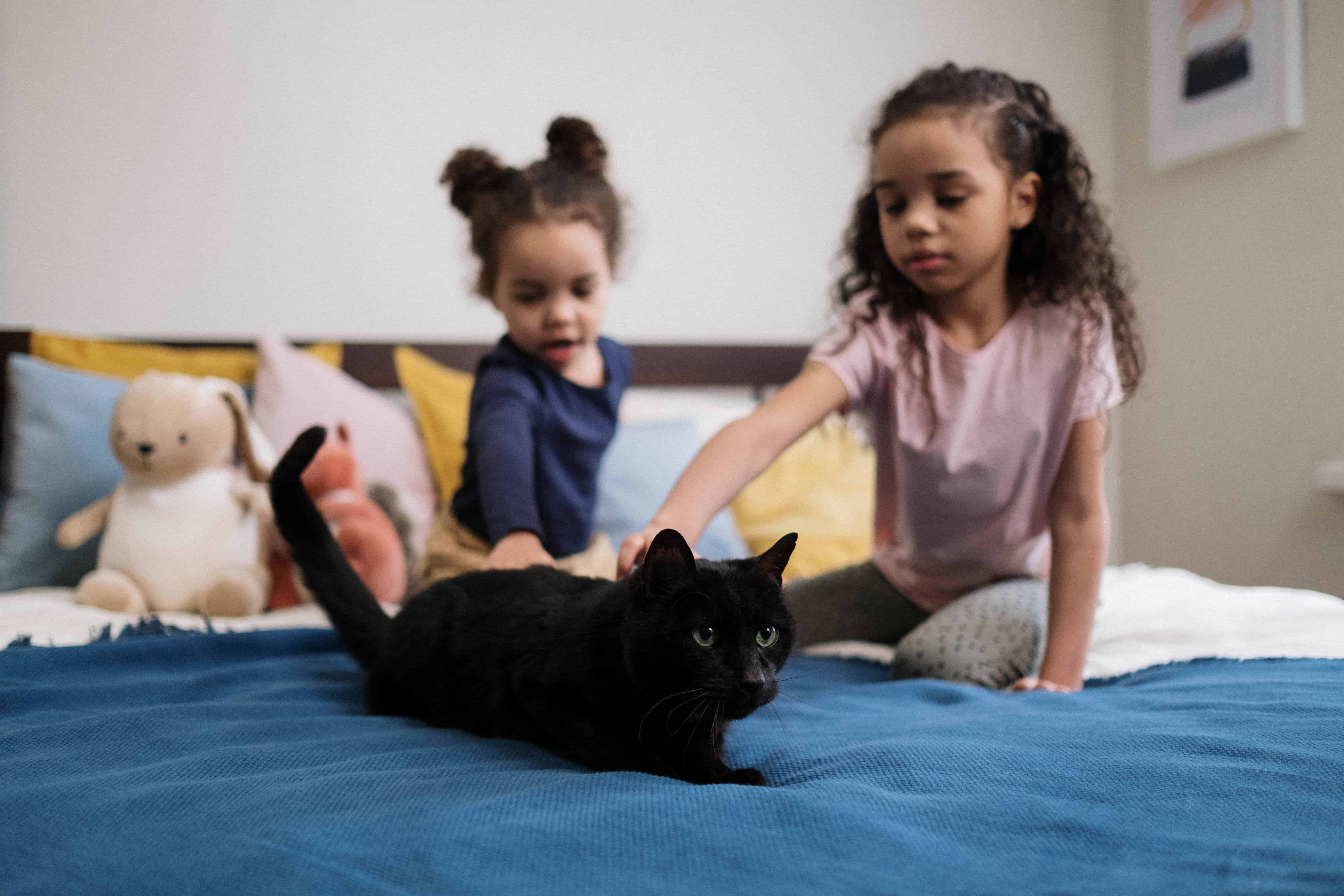 2 girls on bed with a cat