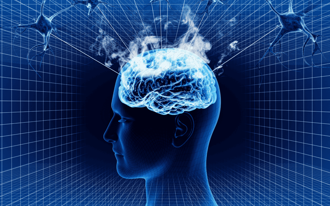 Understanding Childhood Neuroplasticity