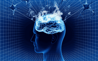 Understanding Childhood Neuroplasticity